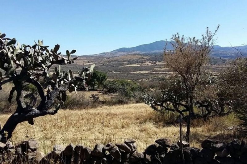 Terreno en Venta en La Cruz Tarimoro, Guanajuato