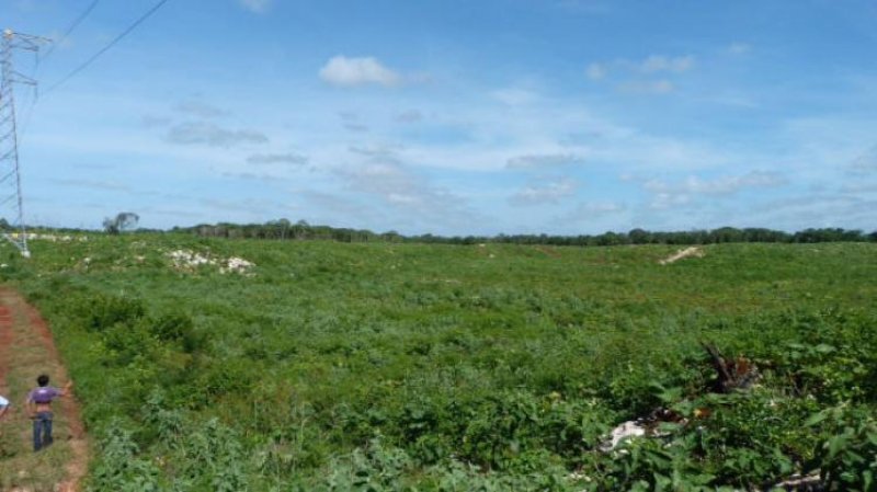 Rancho en Venta en  Tekax de Alvaro Obregón, Yucatan