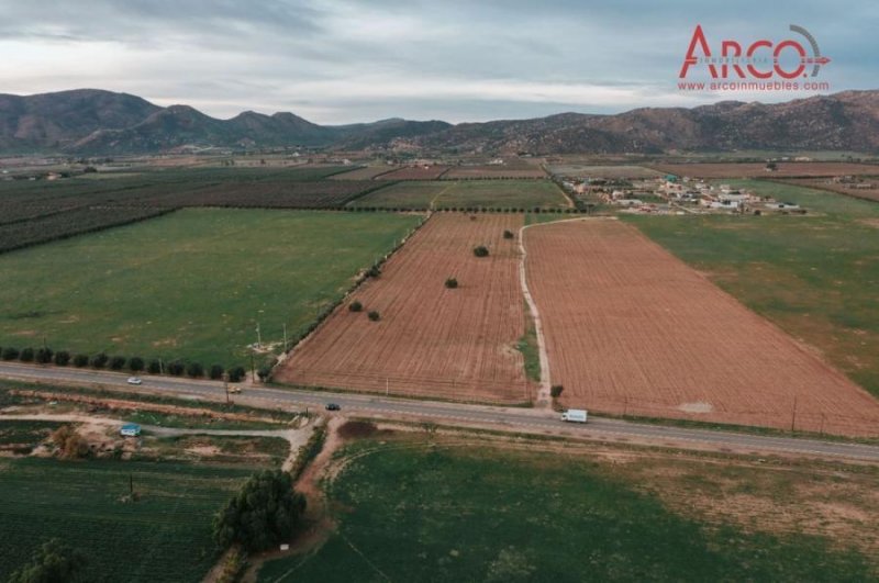 Rancho en Venta en  El Porvenir (Guadalupe), Baja California