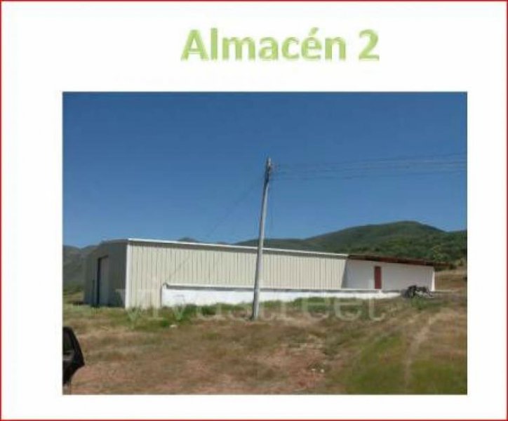 Foto Rancho en Venta en Ensenada, Baja California - U$D 9.412.000 - RAV47640 - BienesOnLine