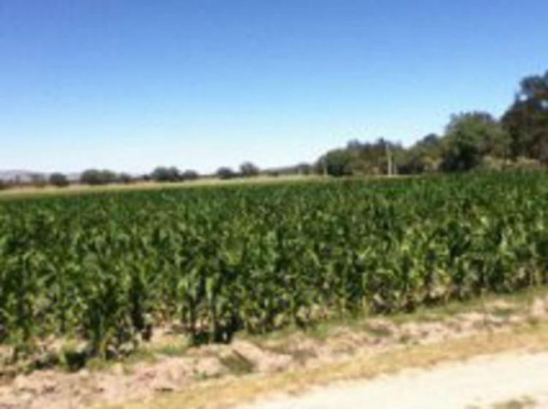 Rancho en Venta en  San Felipe, Guanajuato