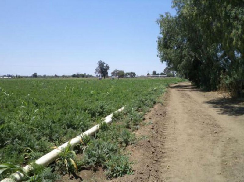 Rancho en Venta en  Silao, Guanajuato