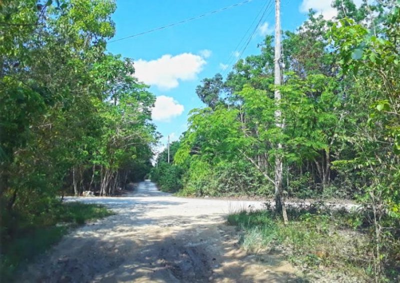 Terreno en Venta en BOSQUE DEL CARIBE Cancún, Quintana Roo