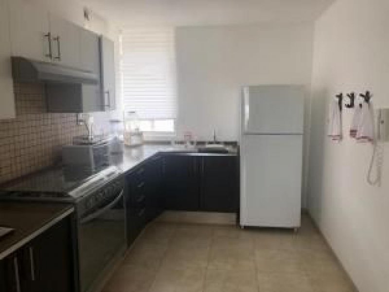 Foto Departamento en Renta en LOMAS DEL TECNOLOGICO, San Luis Potosí, San Luis Potosi - $ 16.000 - DER284706 - BienesOnLine