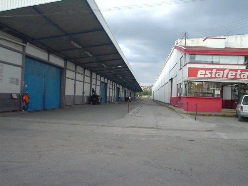 Bodega en Renta en Puebla Puebla, Puebla