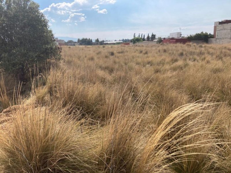 Terreno en Renta en Cacalomacan Cacalomacán, Mexico