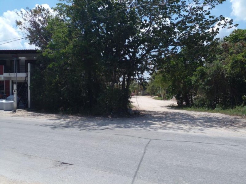 Terreno en Renta en El milagro CANCUN, Quintana Roo