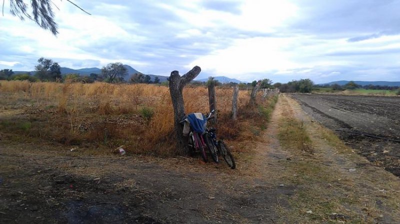 Foto Terreno en Venta en RINCON DE JIMULCO, Ocotlán, Jalisco - 1 hectareas - $ 1.500.000 - TEV115825 - BienesOnLine