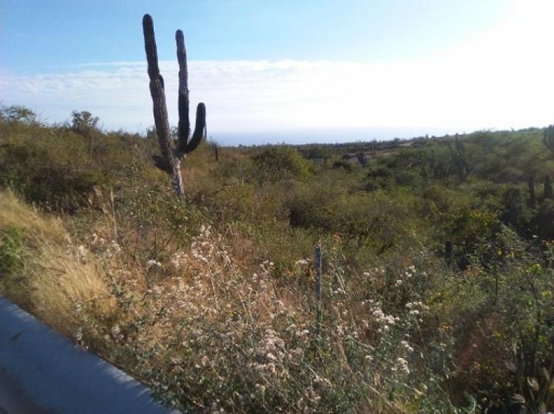 Foto Terreno en Venta en Rolling Hills Estates, Cabo San Lucas, Baja California Sur - U$D 42.000 - TEV171200 - BienesOnLine