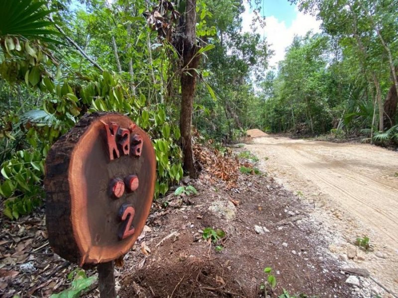 Ruta de los Cenotes, terrenos de 1,000 m2 Preventa Financiamiento directo