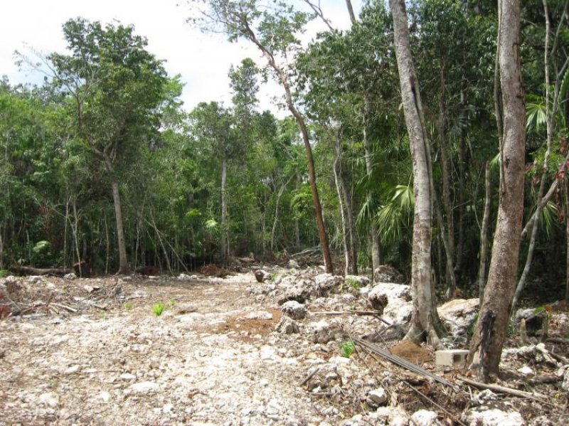 Foto Terreno en Venta en Ruta de los cenotes, Puerto Morelos, Quintana Roo - $ 198.000 - TEV15691 - BienesOnLine