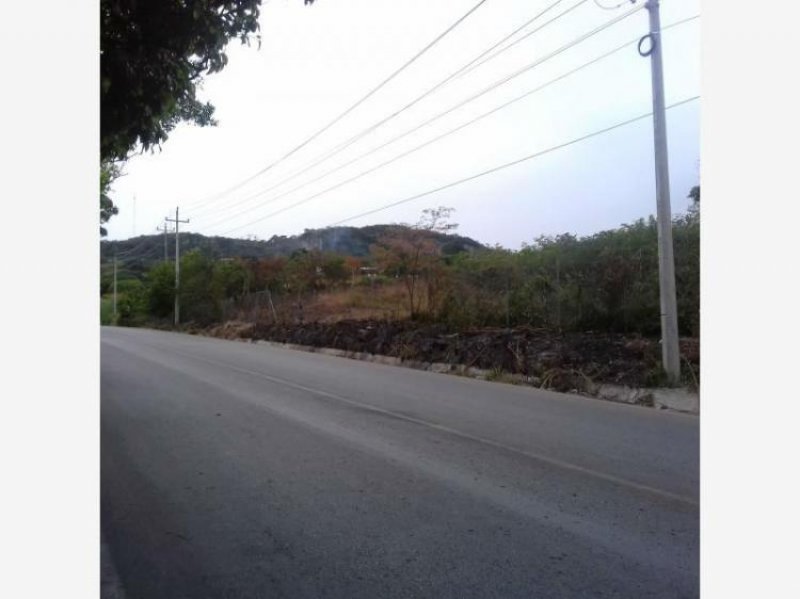 Foto Terreno en Renta en Copoya, Tuxtla Gutiérrez, Chiapas - $ 10.000 - TER193819 - BienesOnLine