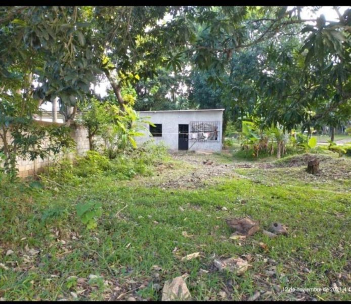 Casa en Venta en  Amatlán de los Reyes, Veracruz