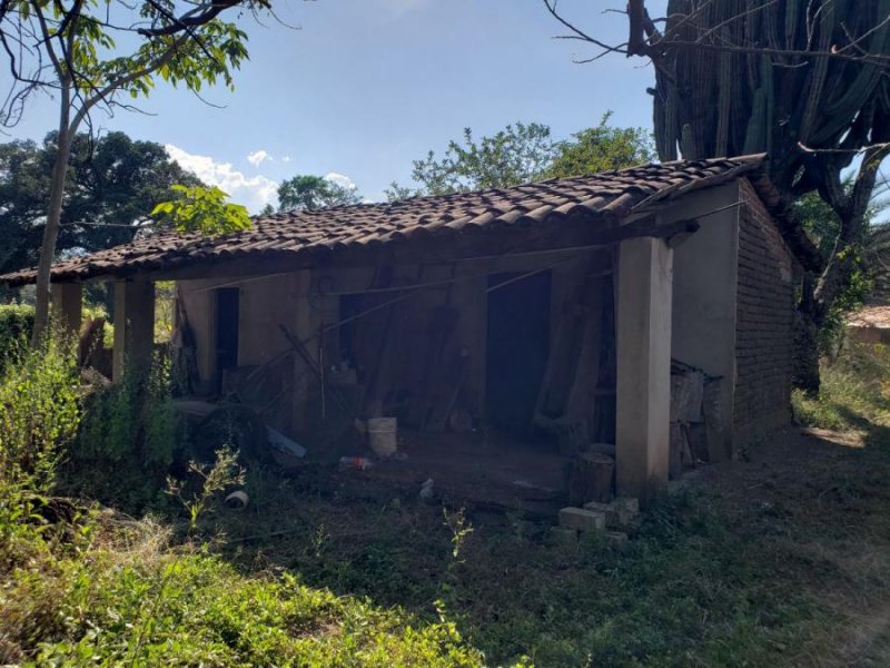 Granja en Venta en El Chante El Chante, Jalisco