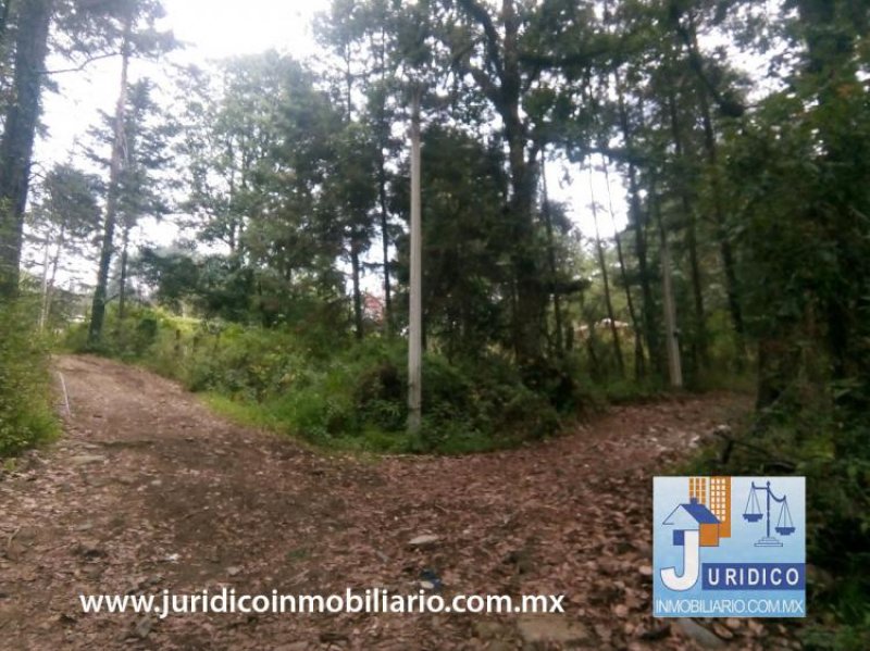 Foto Terreno en Venta en Atlautla, México, Mexico - $ 975.000 - TEV231059 - BienesOnLine