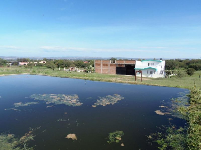 Rancho en Venta en La lomita ojo zarco Pabellón de Arteaga, Aguascalientes