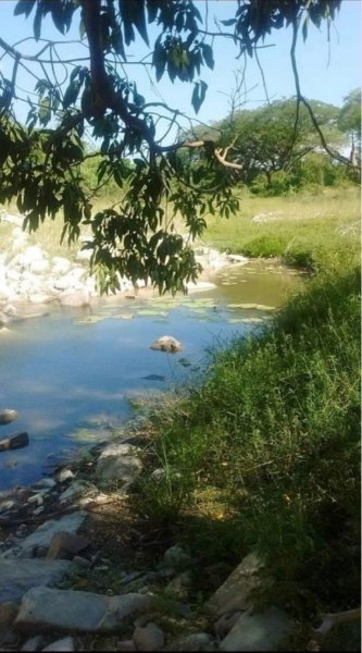 Rancho en Venta en  Ciudad Valles, San Luis Potosi