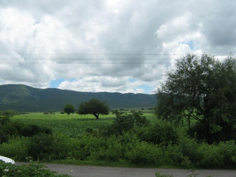 Rancho en Venta en RANCHO DEL COLORADO San Ciro de Acosta, San Luis Potosi