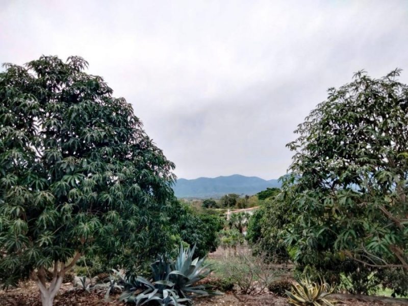 Rancho en Venta en ignacio zaragoza Ciudad Valles, San Luis Potosi