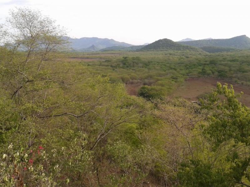 Foto Rancho en Venta en Adolfo López Mateos (El Tamarindo), Sinaloa - $ 45.000 - RAV82607 - BienesOnLine