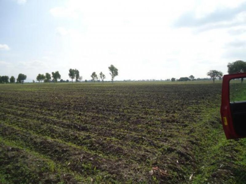 Rancho en Venta en  Romita, Guanajuato