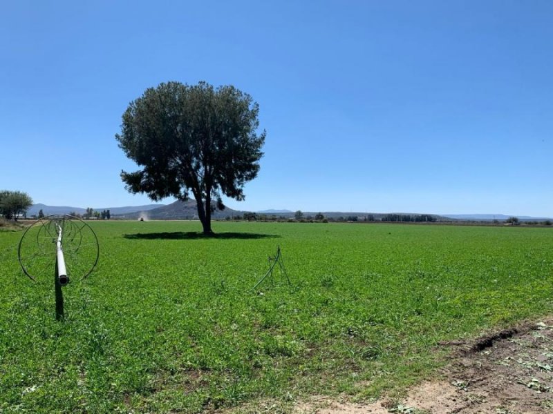 Rancho en Venta en San Miguel del Huaricho Romita, Guanajuato