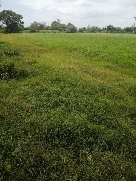 Rancho en Venta en  Silao, Guanajuato