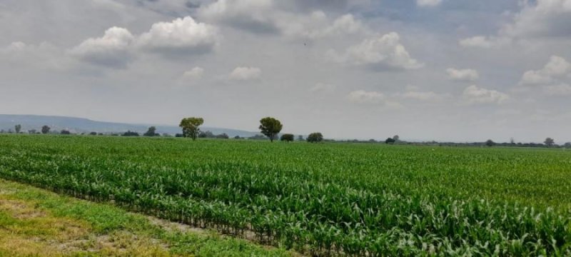 Rancho en Venta en  Silao, Guanajuato