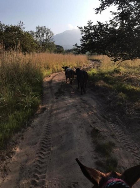 Rancho en Venta en tomatlan jalisco Tomatlán, Jalisco