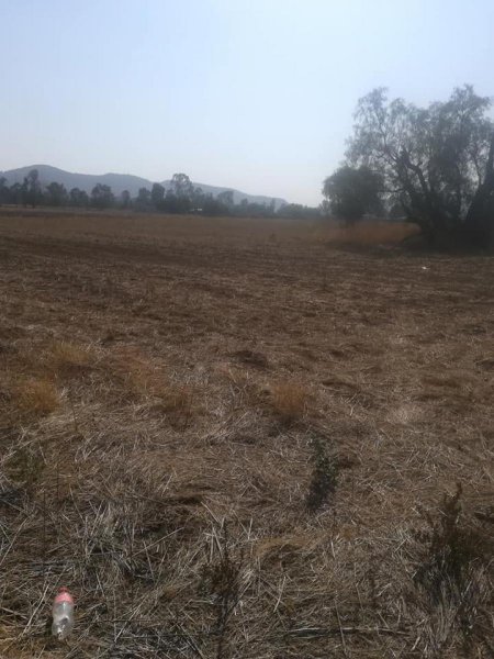 Foto Terreno en Venta en Texcoco de Mora, Mexico - $ 11.250.000 - TEV252239 - BienesOnLine