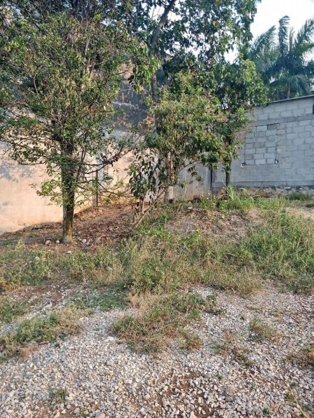 Terreno en Venta en  Amatlán de los Reyes, Veracruz