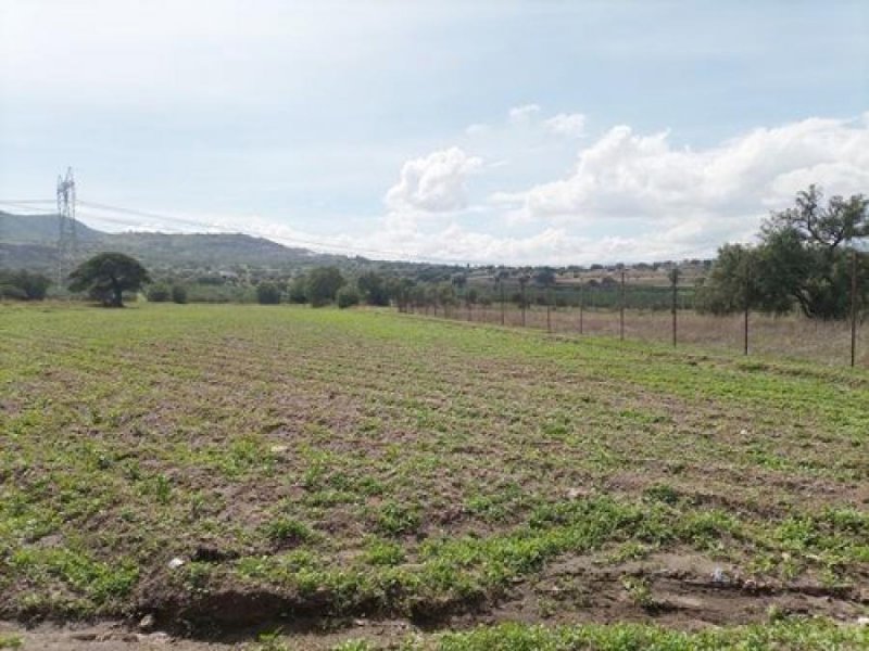 Se vende Terreno en el Olivaco Teotihuacán