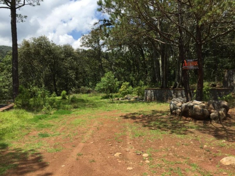 Terreno en Venta en Huasca de ocampo Huasca de Ocampo, Hidalgo