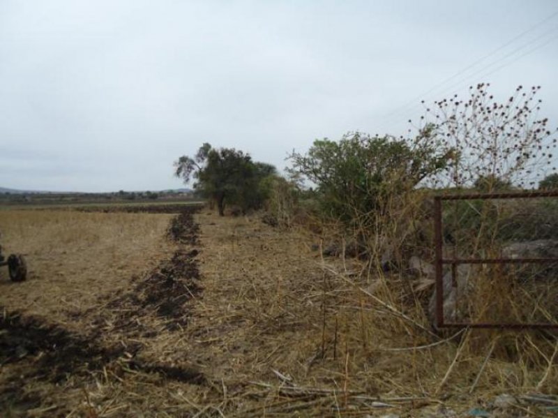 Terreno en Venta en  Irapuato, Guanajuato