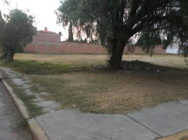 Foto Terreno en Venta en Papalotla, Papalotla, Mexico - $ 900.000 - TEV247879 - BienesOnLine