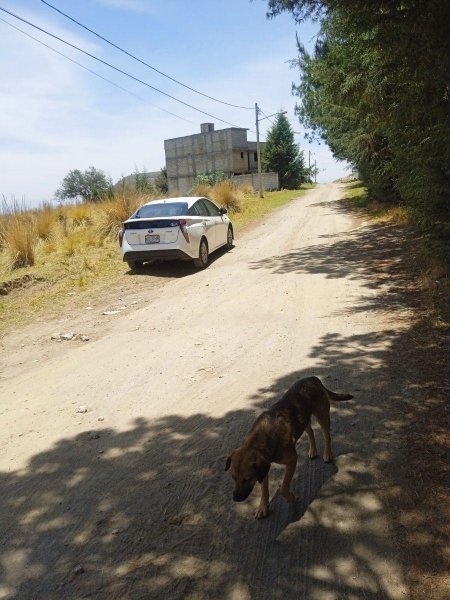 SE VENDE TERRENO EN SANTIAGO TLACOTEPEC, TOLUCA