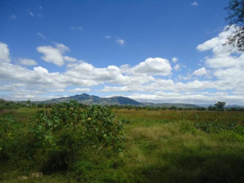 Terreno en Venta en  Silao, Guanajuato