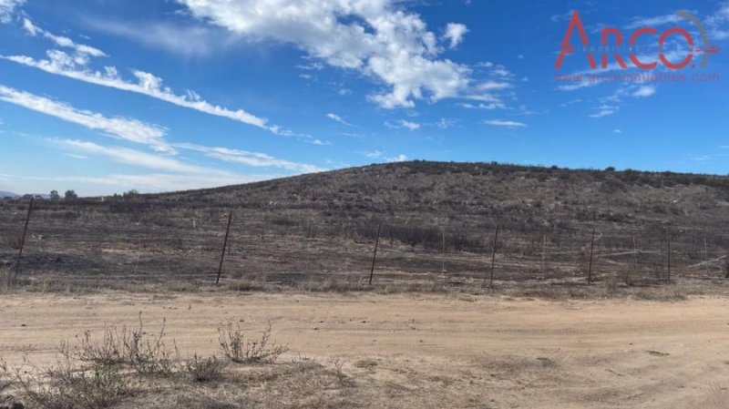 Rancho en Venta en  Francisco Zarco (Guadalupe), Baja California