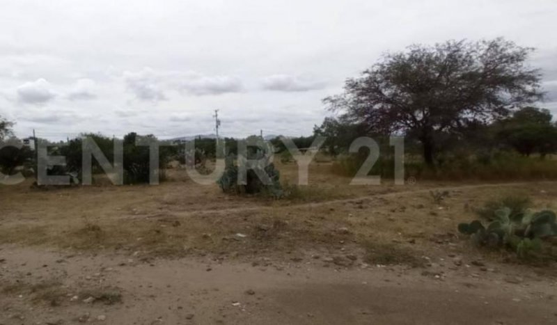 Terreno en Venta en perote Perote, Veracruz