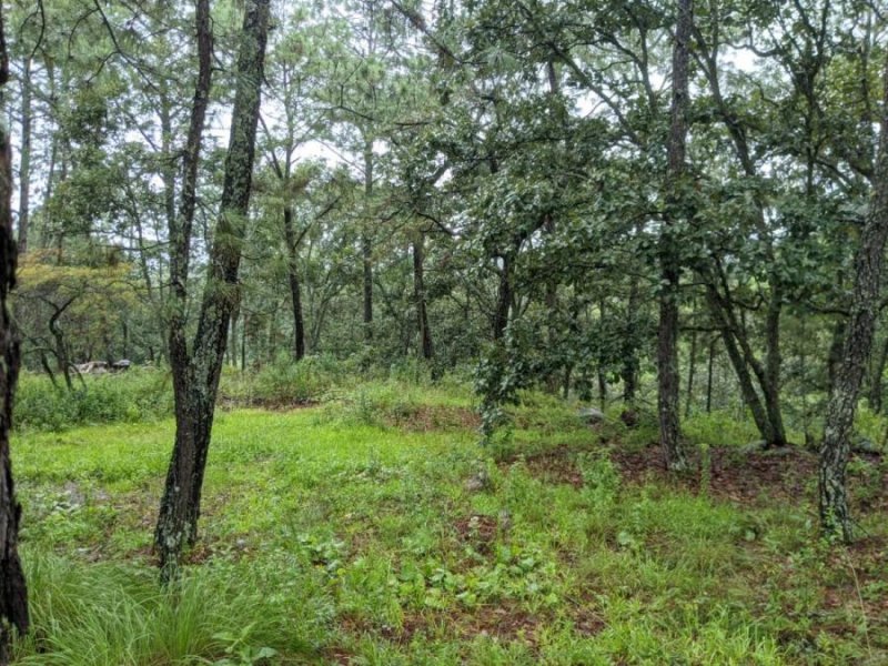 Terreno en Venta en fraccionamiento camino real Mazamitla, Jalisco