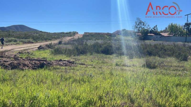 Terreno en Venta en SAN ANTONIO DE LAS MINAS Ensenada, Baja California