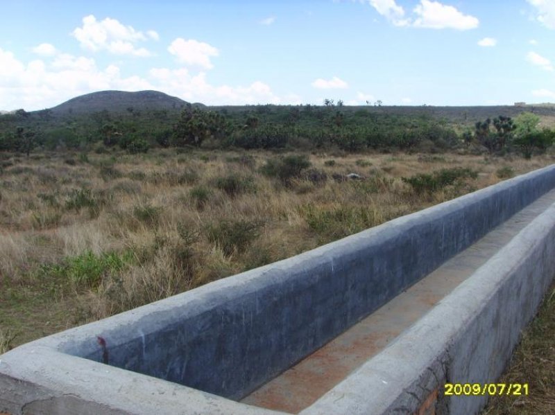 Foto Rancho en Venta en Jarillas, Ojocaliente, Zacatecas - 106 hectareas - $ 1.560.000 - RAV12617 - BienesOnLine