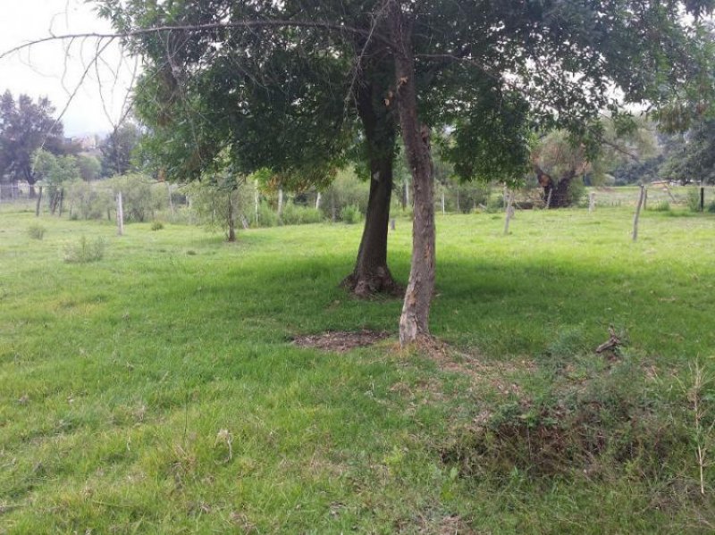 Foto Terreno en Venta en Morelia, Michoacan de Ocampo - TEV99760 - BienesOnLine