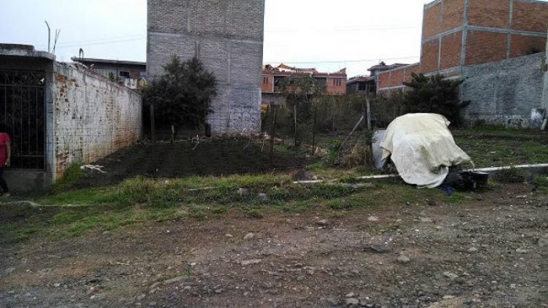 Foto Terreno en Venta en , Michoacan de Ocampo - TEV100159 - BienesOnLine