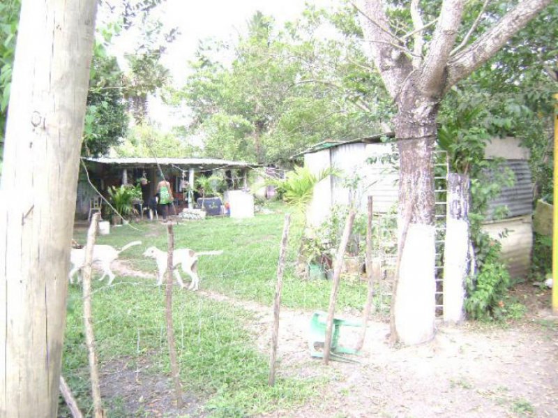 Foto Terreno en Venta en La Laguna y Monte del Castillo, Veracruz - $ 600.000 - TEV88137 - BienesOnLine