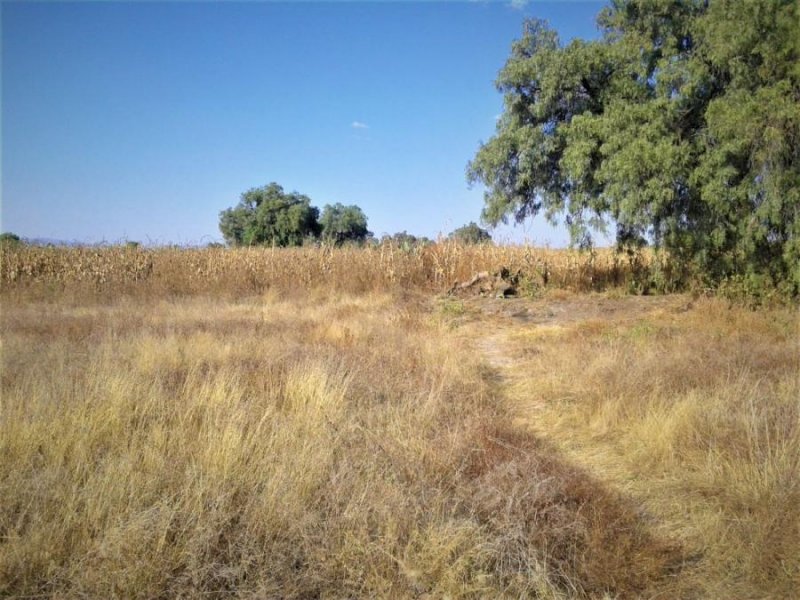 Terreno 1.4 ha. Tecámac, Estado de México, a 10 minutos del AIFA. Santa María Ajoloapan