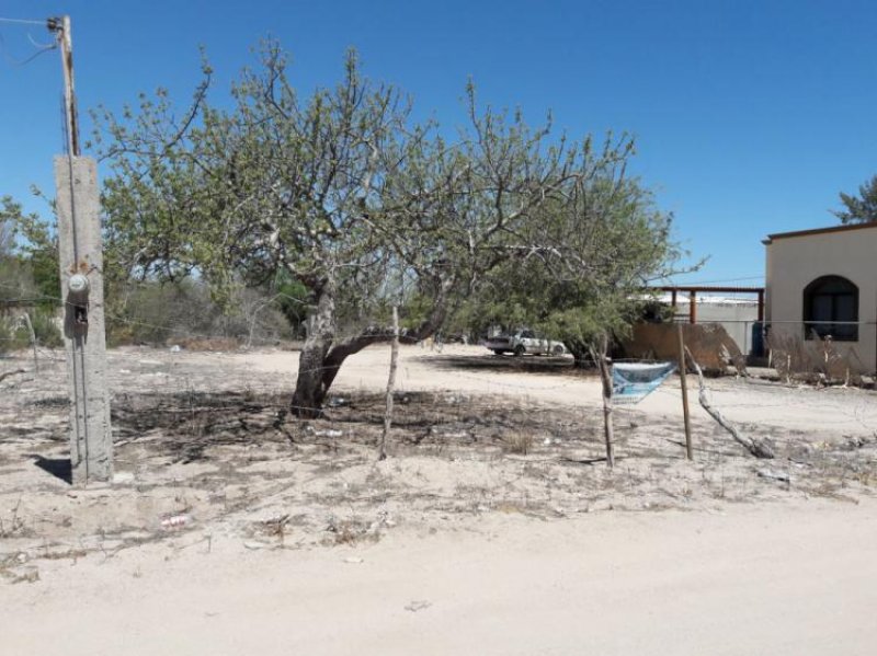 Foto Terreno en Venta en AMPLIACION EJIDO EL CENTENARIO, El Centenario, Baja California Sur - $ 350.000 - TEV205145 - BienesOnLine