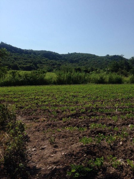 Rancho en Venta en el charco Tlaltizapán, Morelos