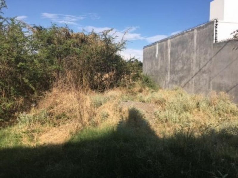 Foto Terreno en Venta en San Jose Rio Verde, Guadalajara, Jalisco - $ 850.000 - TEV346563 - BienesOnLine