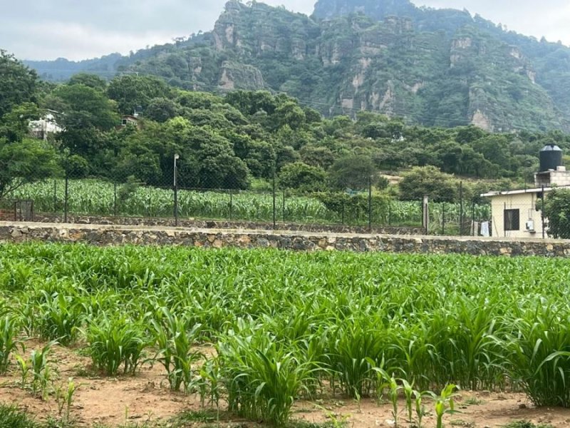 Terreno en Venta en Amatlan Tepoztlán, Morelos